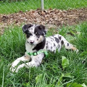 Meet your Posher, Ray